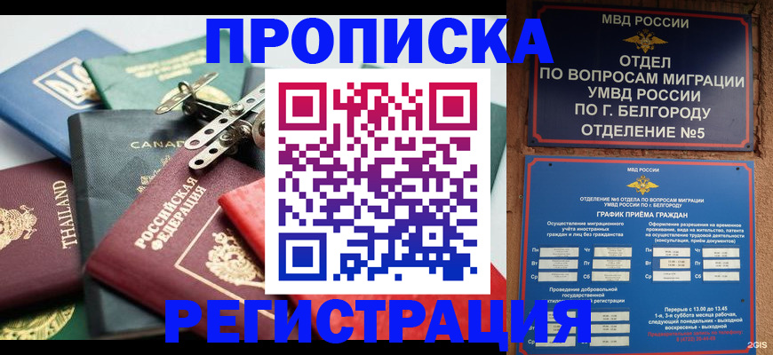 временная регистрация недорого в Павлово